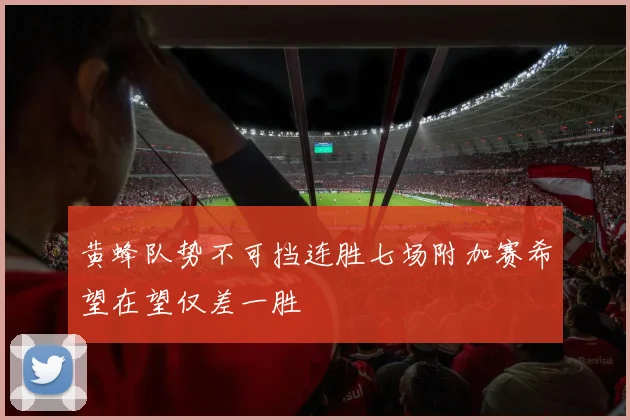 黄蜂队势不可挡连胜七场附加赛希望在望仅差一胜