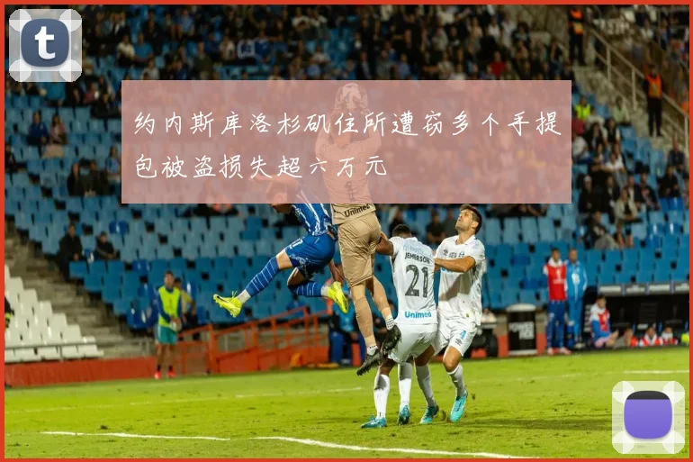 约内斯库洛杉矶住所遭窃多个手提包被盗损失超六万元
