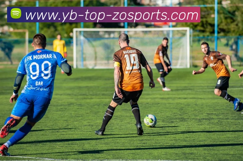 中欧体育发展历程