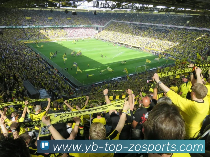 瑞安邓恩三分命中率仅317坚持多出手不纠结投篮结果